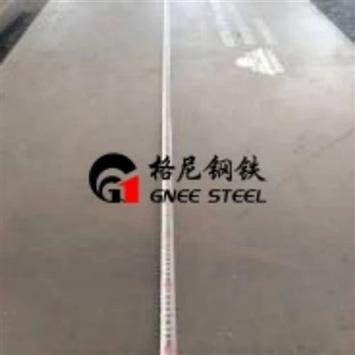ASTM 316 e ASTM 316L: acciai inossidabili resistenti alla corrosione-per ambi...